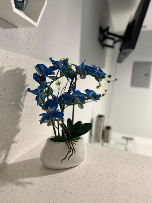 Apartamento Blue Eyes *